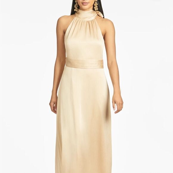 NWT Sachin + Babi KAYLA GOWN - CHAMPAGNE-P17 - Picture 1 of 6